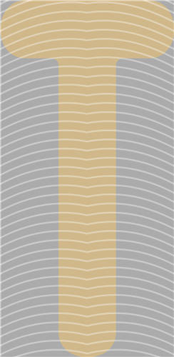 NBA and Team-QD 2199